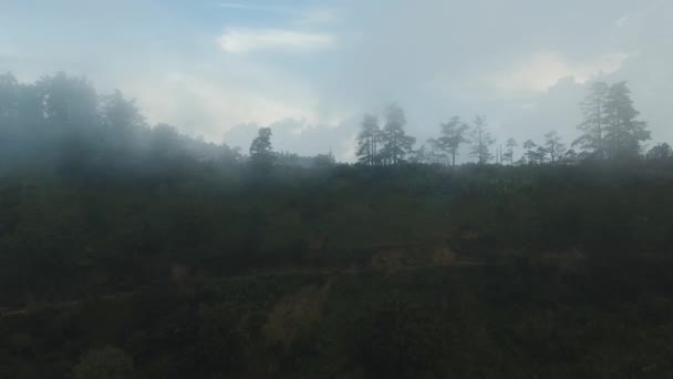 Regenwoud in de wolken, Bali, Indonesië. — Stockvideo