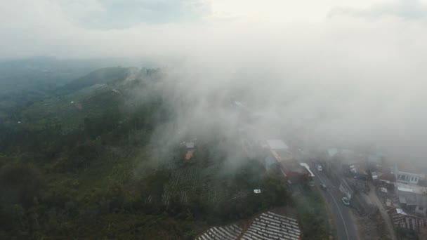 พื้นที่เพาะปลูกในภูเขาในเมฆ บาหลี อินโดนีเซีย . — วีดีโอสต็อก