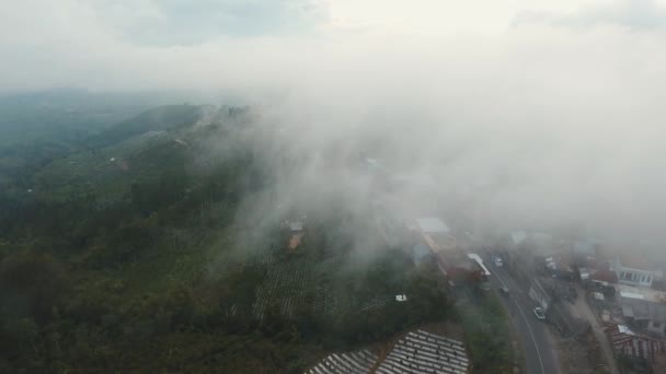 Mezőgazdasági terület a hegyekben a felhőben. Bali, Indonézia. — Stock videók