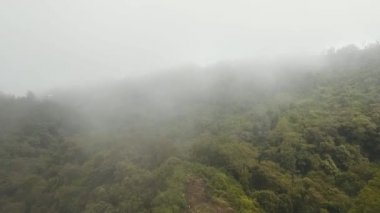 Bulutlardaki yağmur ormanları, Bali, Endonezya.