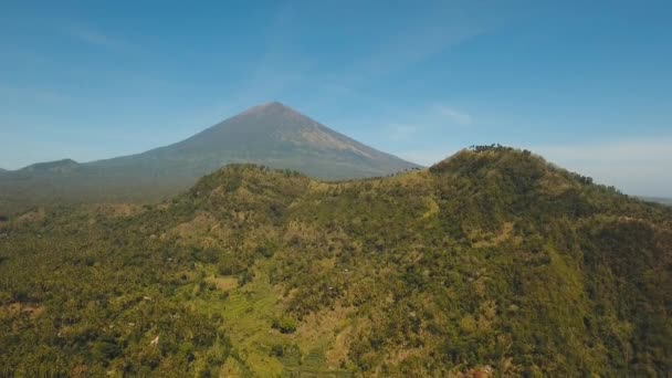 Vue du paysage de la forêt de montagne. Bali — Video