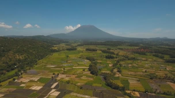 Paisagem montanhosa terras agrícolas e aldeia Bali, Indonésia. — Vídeo de Stock