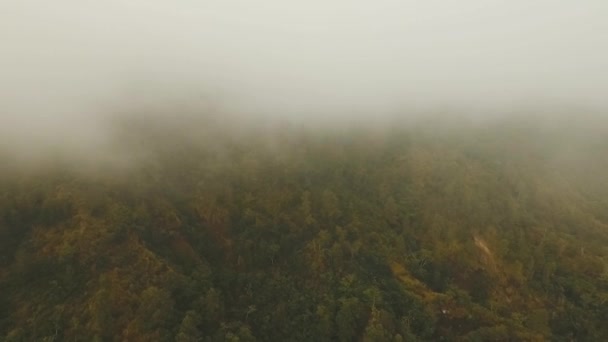 Regenwoud in de wolken, Bali, Indonesië. — Stockvideo