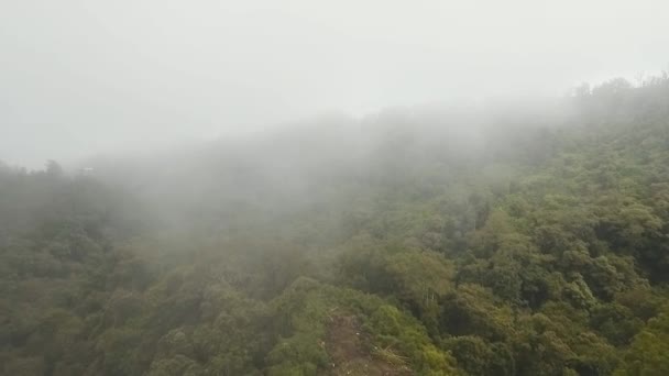 Regenwald in Wolken, Bali, Indonesien. — Stockvideo