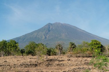 Dağ ormanlarının manzarası. Bali