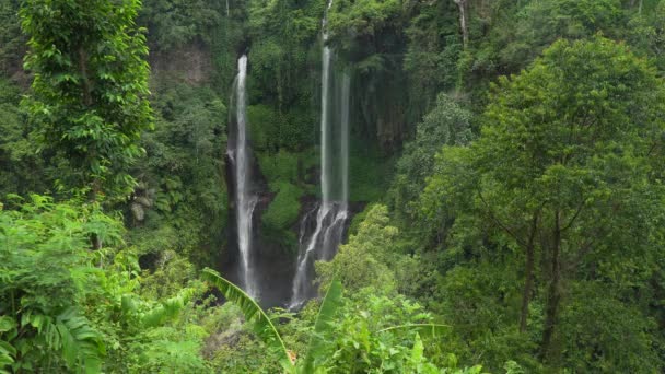 Güzel tropik şelale. Bali, Endonezya. — Stok video