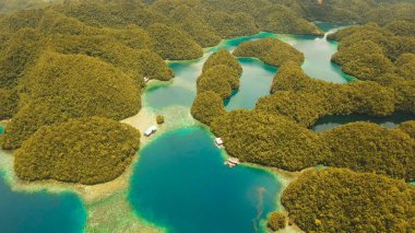 Hava manzaralı tropikal göl, deniz, sahil. Bucas Grande Adası, Sohoton Koyu. Filipinler.