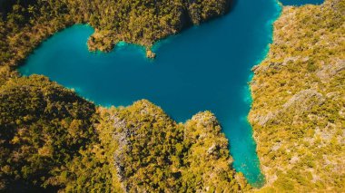 Dağ lake Kayangan tropik bir adada, Filipinler, Coron, Palawan.