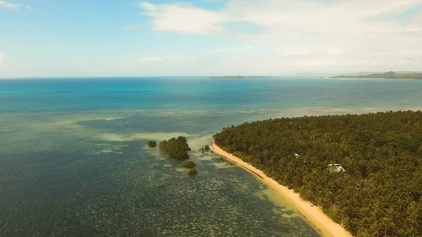 Vista aérea hermosa playa en una isla tropical. Filipinas, Siargao . — Foto de Stock