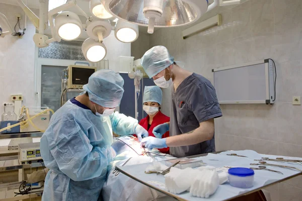 Veteriner kliniğinde bir köpeğin cerrahi müdahalesi — Stok fotoğraf