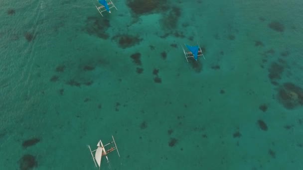 Yachts à voile au coucher du soleil — Video