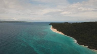 palmiye ağaçları ile tropikal kum plaj