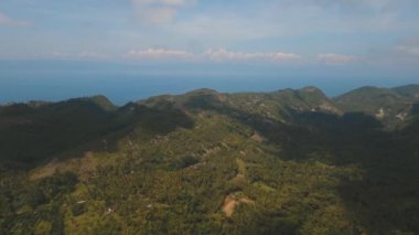 Tropikal peyzaj palmiye ağaçları ile. Filipinler