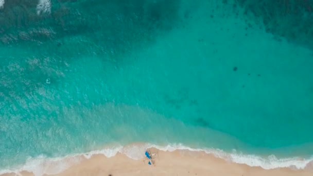 Plage de sable tropical avec palmiers — Video