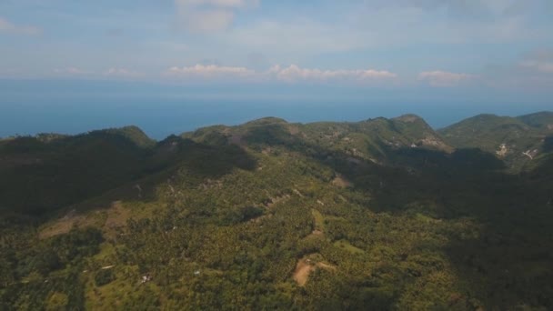 Τροπικό τοπίο με τους φοίνικες. Φιλιππίνες — Αρχείο Βίντεο
