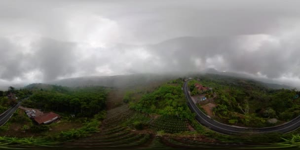 Jordbrukare mark i bergen, Indonesien. vr360 — Stockvideo