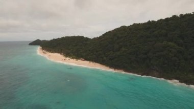 palmiye ağaçları ile tropikal kum plaj