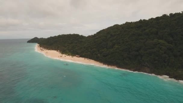 Тропічний піщаний пляж з пальмами — стокове відео