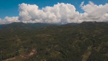 Tropikal peyzaj palmiye ağaçları ile. Filipinler