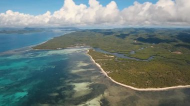 Tropikal plaj ve turkuaz deniz