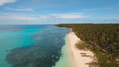Tropikal plaj ve turkuaz deniz
