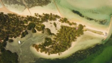 Tropikal plaj ve turkuaz deniz