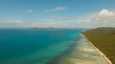 Tropikal plaj ve turkuaz deniz