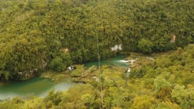 Cazibe zipline ormanda Bohol, Filipinler.