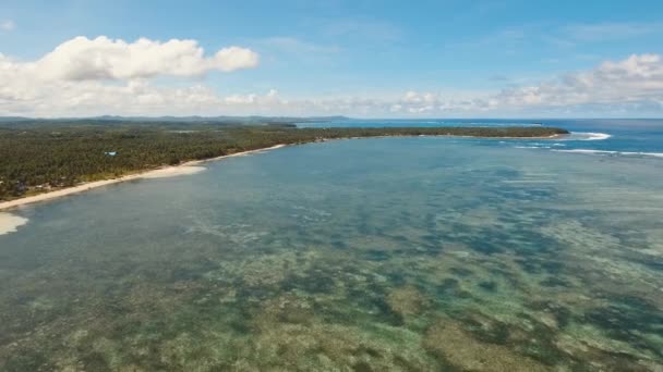 Tropisch strand met turquoise zee — Stockvideo