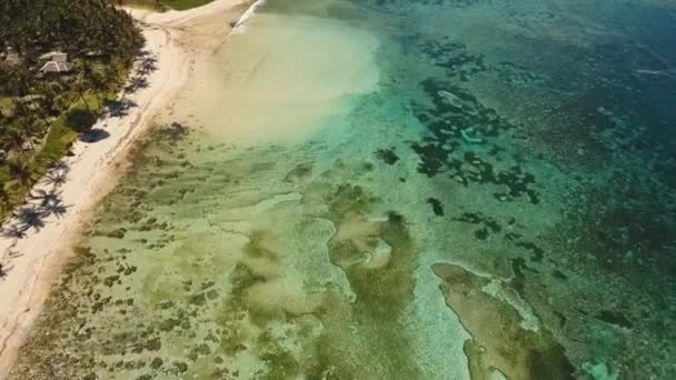 Tropischer Strand mit türkisfarbenem Meer — Stockvideo