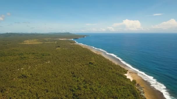 Costa de isla tropical. — Vídeo de stock