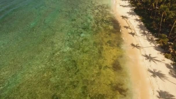 Playa tropical con mar turquesa — Vídeos de Stock