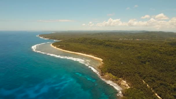 Costa de isla tropical. — Vídeo de stock