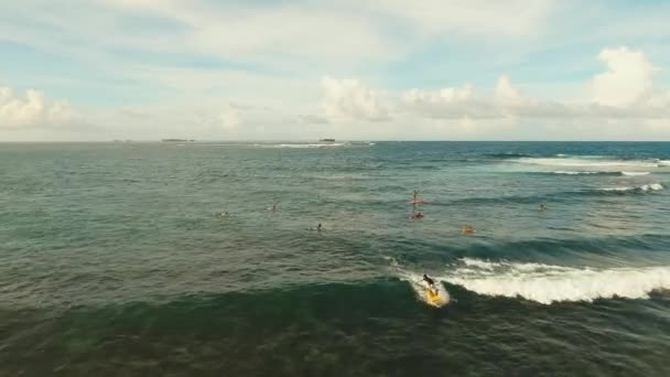 Surfers στην επιφάνεια του νερού — Αρχείο Βίντεο