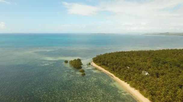 Tropisch strand met turquoise zee — Stockvideo