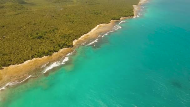 Tropisk strand med och turkost hav — Stockvideo