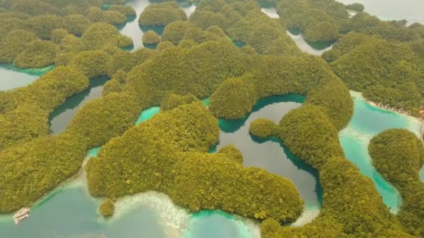 Meereslandschaft mit Lagunen und Inseln — Stockvideo