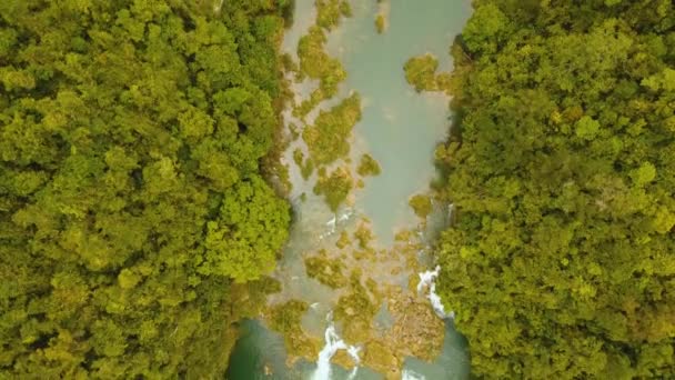 Fiume nella foresta pluviale Filippine, Bohol . — Video Stock