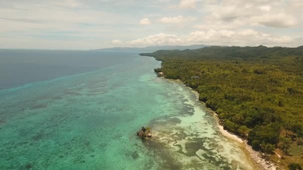 Playa tropical y mar turquesa Filipinas, Bohol — Vídeos de Stock