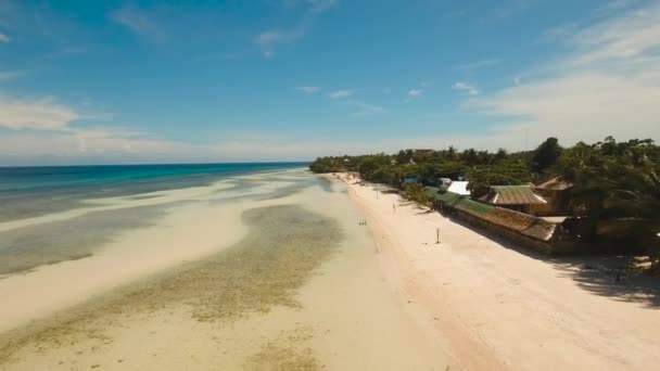 熱帯のビーチとターコイズ ブルーの海フィリピン、ボホール島 — ストック動画