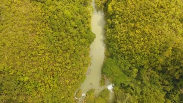 River in rainforest Philippines, Bohol. — Stock Video