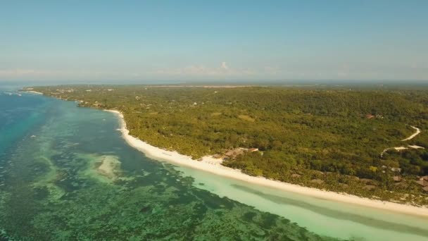 Playa tropical y mar turquesa Filipinas, Bohol — Vídeos de Stock