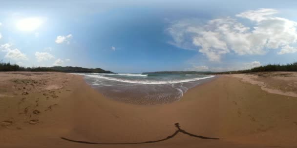 Sandy beach in a tropical resort vr360 — Stock Video
