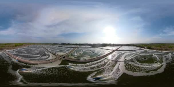 Shrimp Prawn Farming Aerator Pump Oxygenation Water Shrimp Farms Aerial — Stock Video