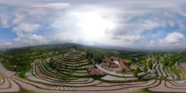 Tropical landscape farm land in Indonesia vr360 — Stock Video