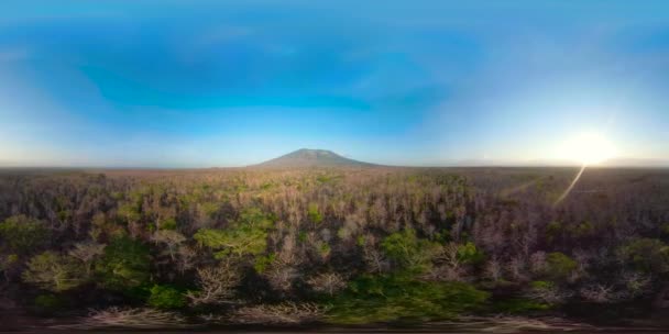 Tropische landschaft mit berg vr360 indonesien. — Stockvideo