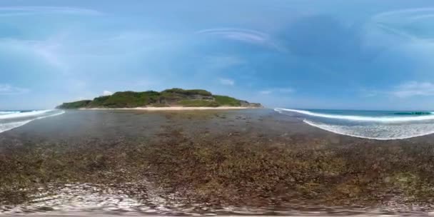 Mantello marino con spiaggia vr360 — Video Stock