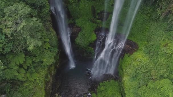 Piękny tropikalny wodospad Bali, Indonezja. — Wideo stockowe