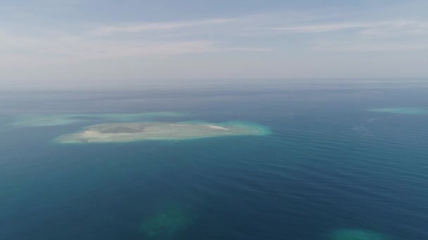 Морской коралловый риф в море — стоковое видео