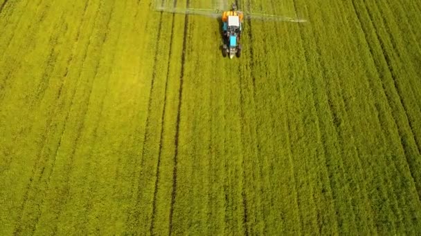 鸟瞰图拖拉机在大型绿色的原野上喷洒化学物质 农场的土地上喷洒除草剂 作物防治杂草的治疗 航拍的镜头 — 图库视频影像